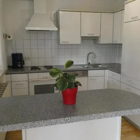 Ferienwohnung Rief 公寓